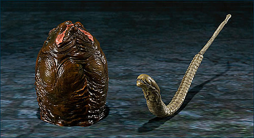 Alien Vs Predator - Alien Warrior - S.H.MonsterArts (Bandai)
