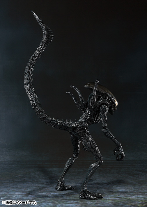 Alien Vs Predator - Alien Warrior - S.H.MonsterArts (Bandai)