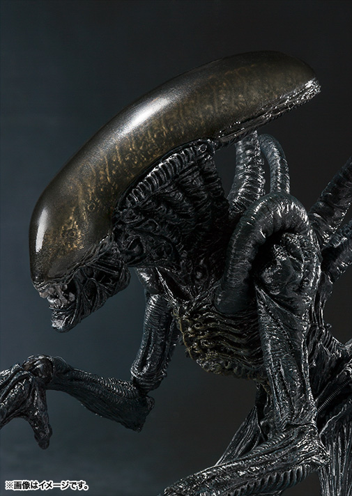 Alien Vs Predator - Alien Warrior - S.H.MonsterArts (Bandai)