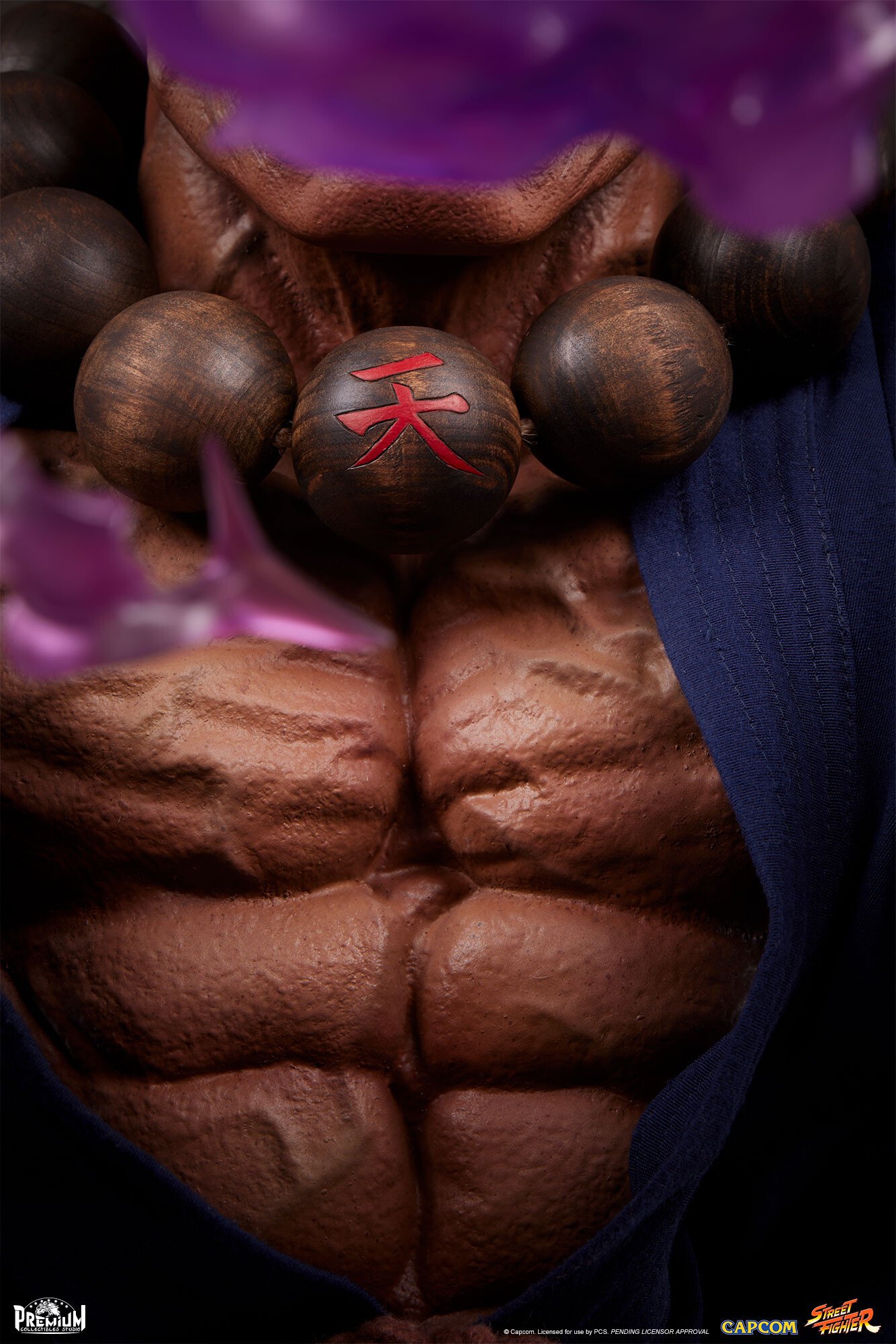 Street Fighter - Gouki - 1/2 (Premium Collectibles Studio) photo 11