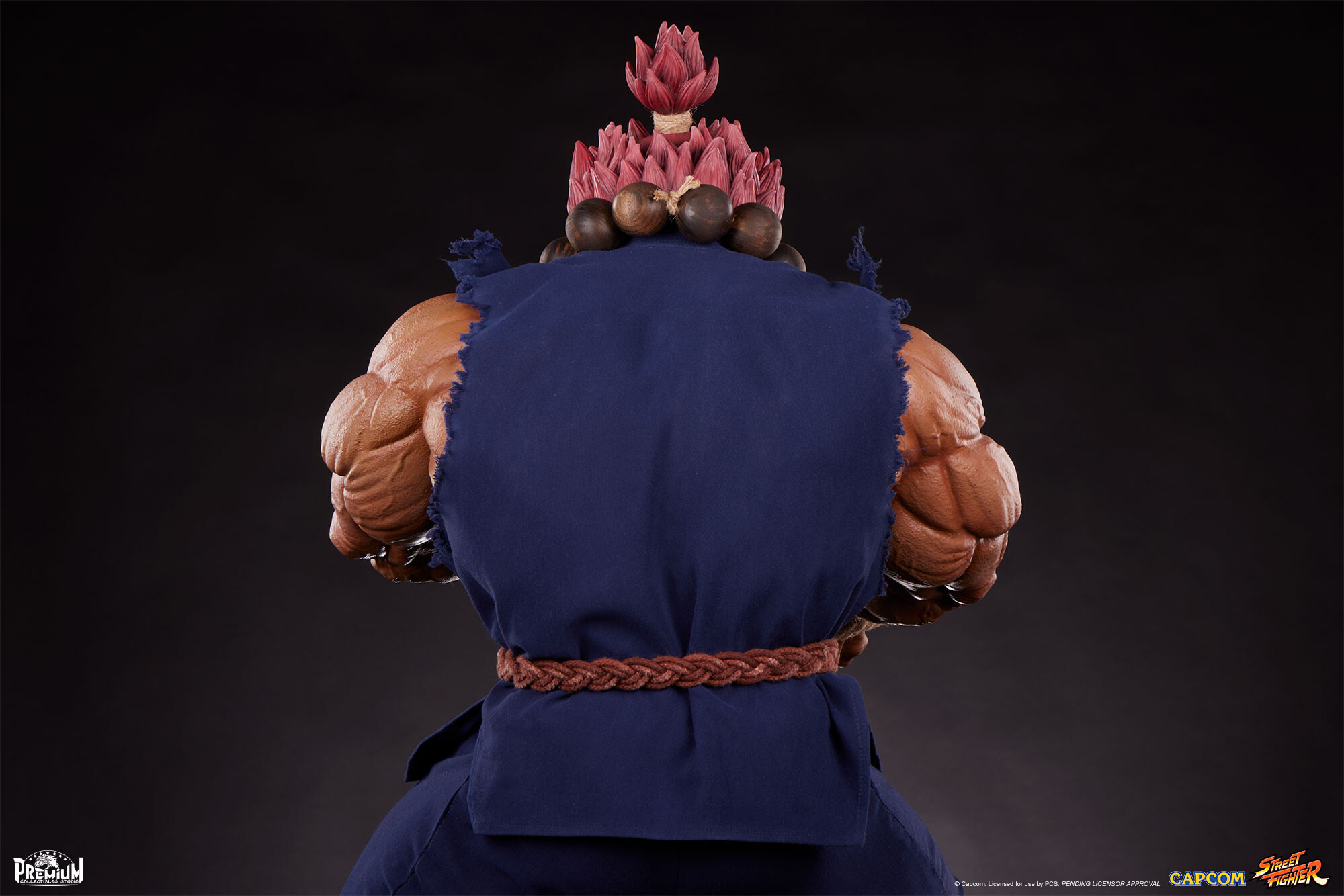 Street Fighter - Gouki - 1/2 (Premium Collectibles Studio) photo 12