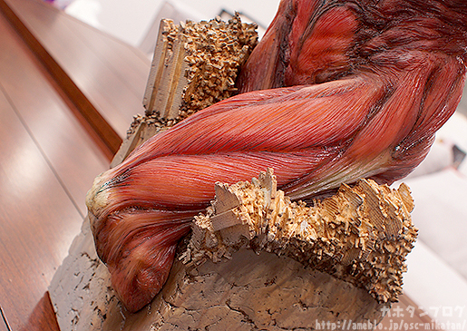 Shingeki no Kyojin - Chou-ougata Kyojin - Wonderful Hobby Selection - Takayuki Takeya Ver. (Good Smile Company)
