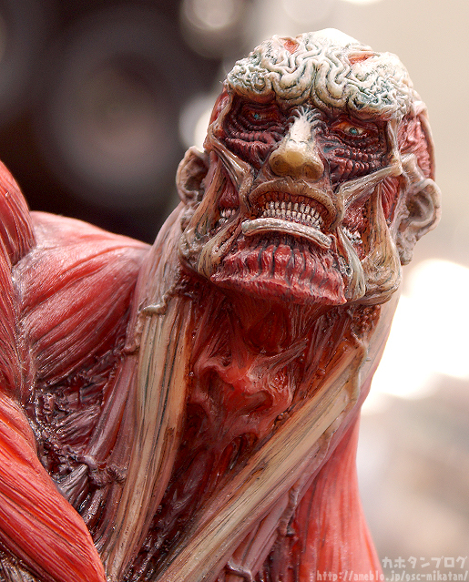 Shingeki no Kyojin - Chou-ougata Kyojin - Wonderful Hobby Selection - Takayuki Takeya Ver. (Good Smile Company)