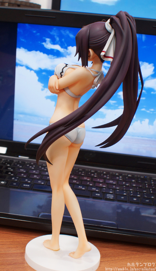 IS: Infinite Stratos 2 - Shinonono Houki - 1/7 - Swimsuit ver. (Gift)