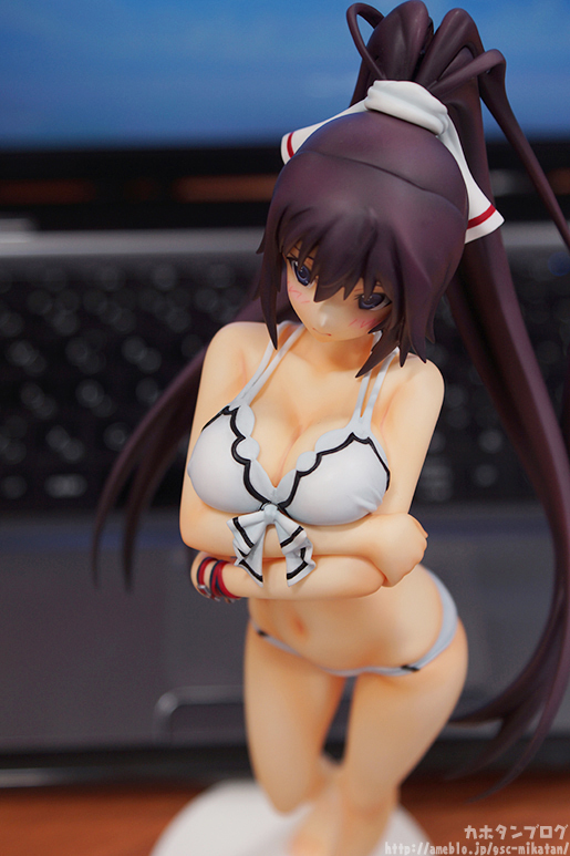 IS: Infinite Stratos 2 - Shinonono Houki - 1/7 - Swimsuit ver. (Gift)