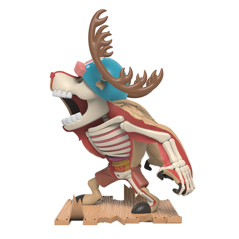 One Piece - Tony Tony Chopper - XXRAY Plus - Monster Point (Mighty Jaxx) photo 10