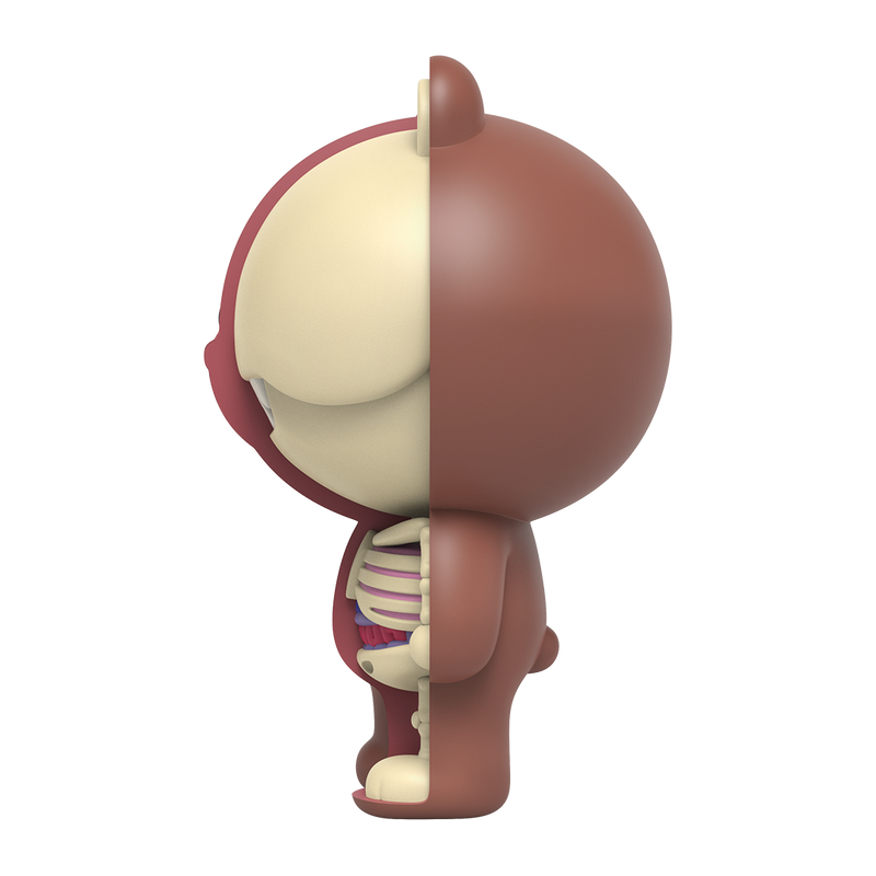 Line Friends - Brown - XXRAY Plus (Mighty Jaxx) photo 2