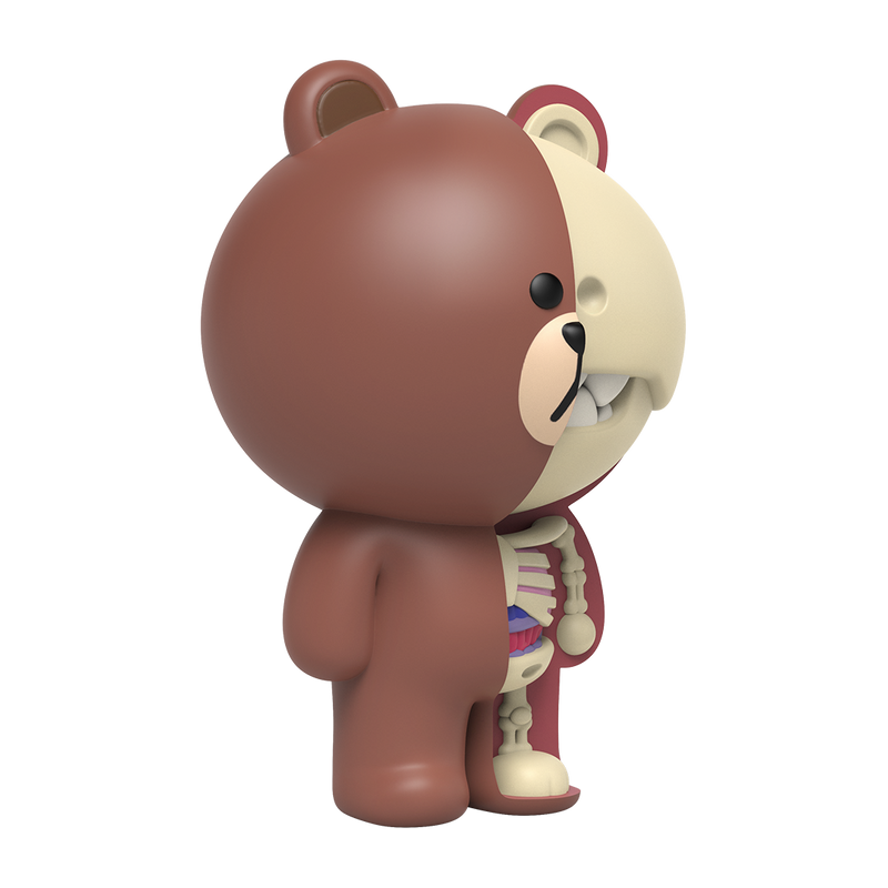 Line Friends - Brown - XXRAY Plus (Mighty Jaxx) photo 7