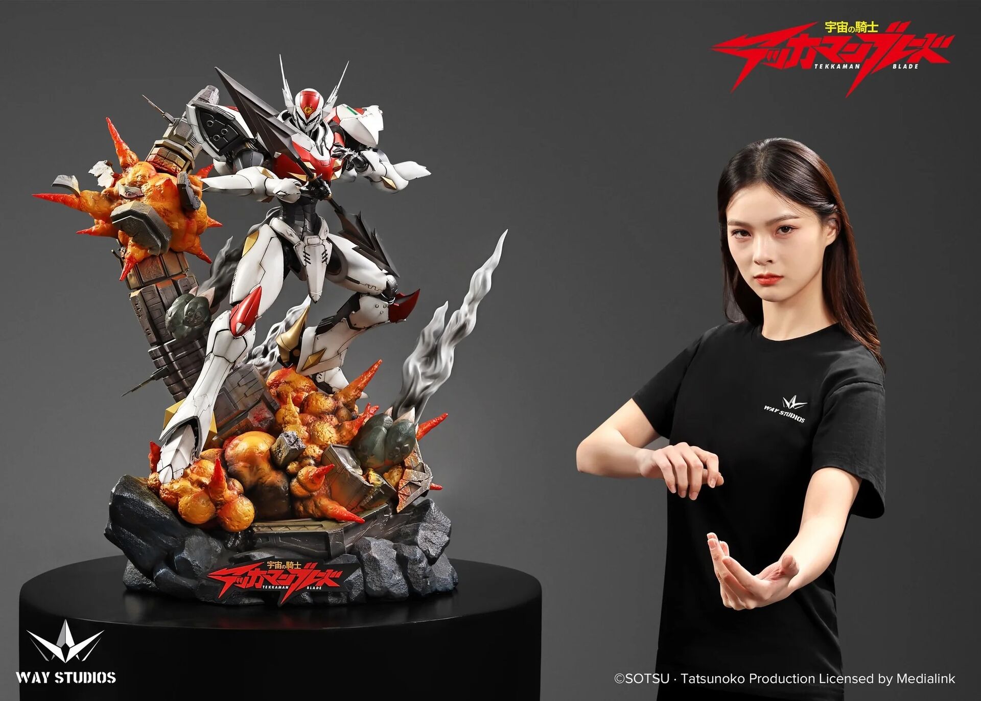 Uchuu no Kishi Tekkaman Blade - Tekkaman Blade - 1/4 (Way Studios) photo 11