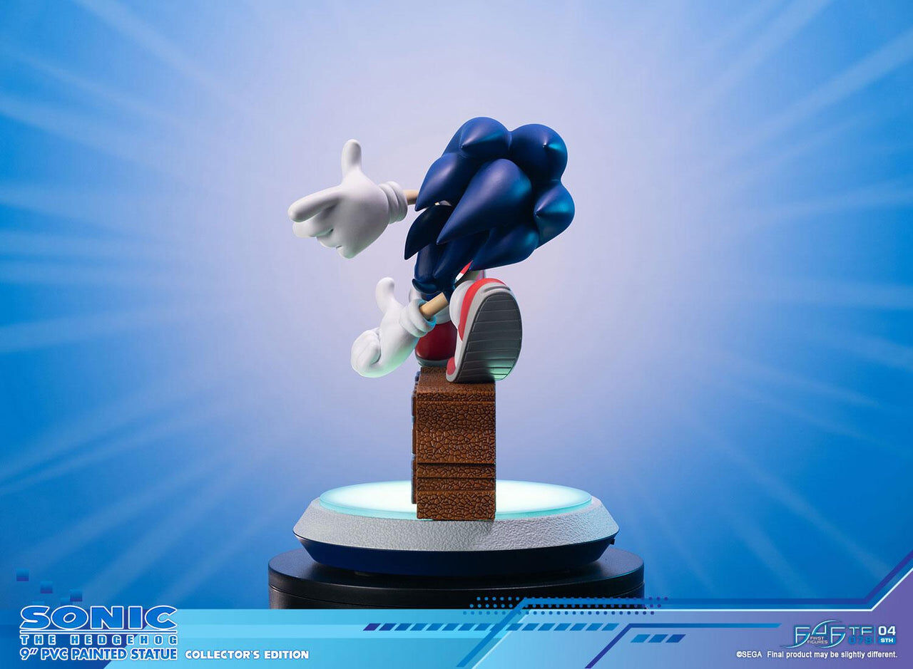 Sonic Adventure - Sonic the Hedgehog - Collector's Edition (First 4 Figures) photo 12