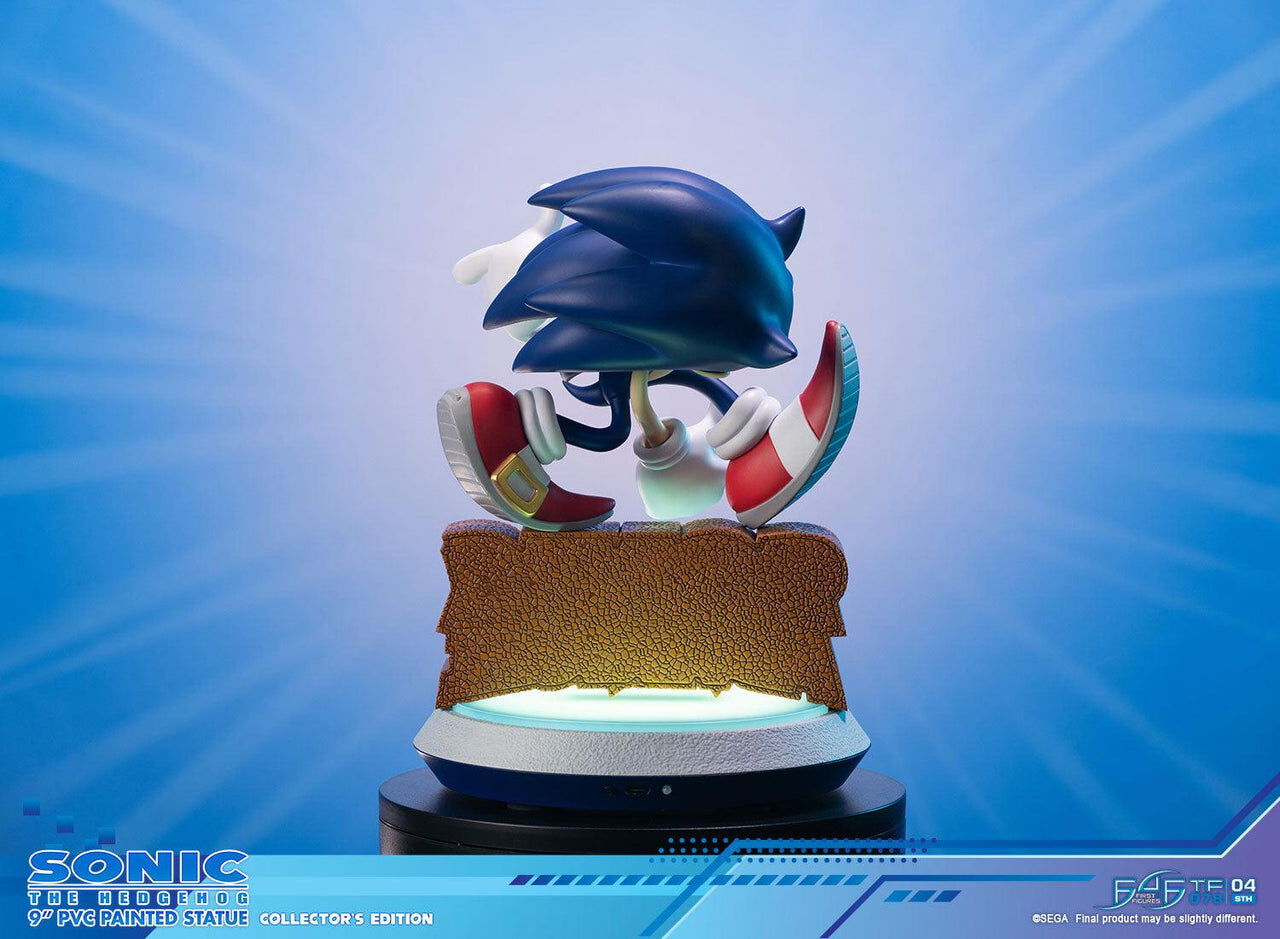 Sonic Adventure - Sonic the Hedgehog - Collector's Edition (First 4 Figures) photo 14