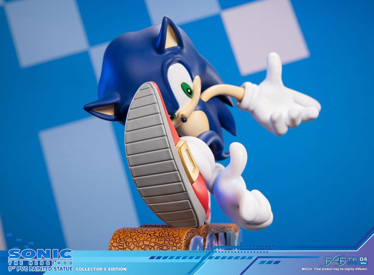 Sonic Adventure - Sonic the Hedgehog - Collector's Edition (First 4 Figures) photo 18
