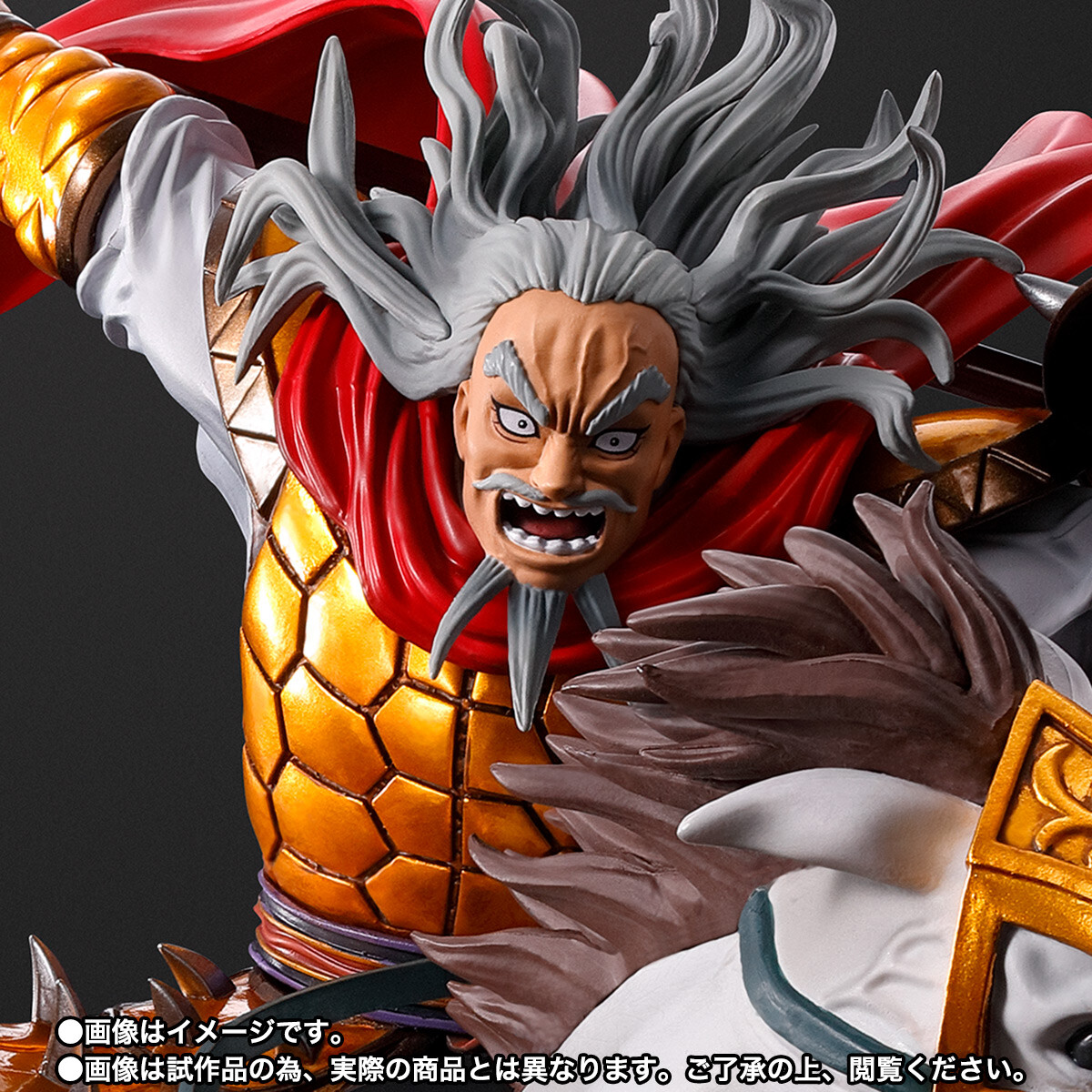 Kingdom - Duke Hyou - Figuarts ZERO - Shutsujin (Bandai Spirits) photo 6