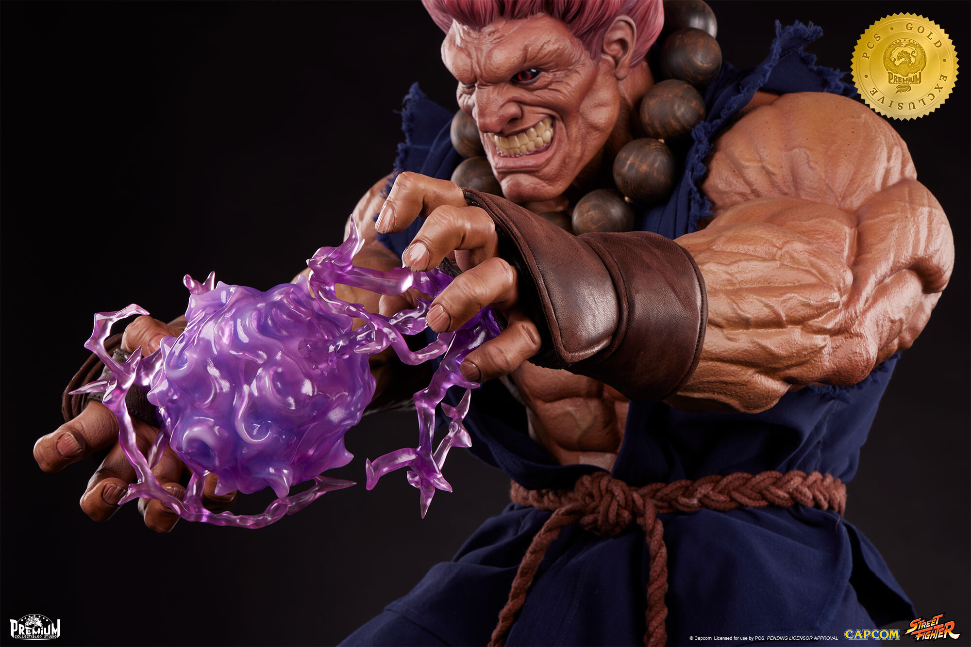Street Fighter - Gouki - 1/2 - PCS Gold Exclusive (Premium Collectibles Studio) photo 11