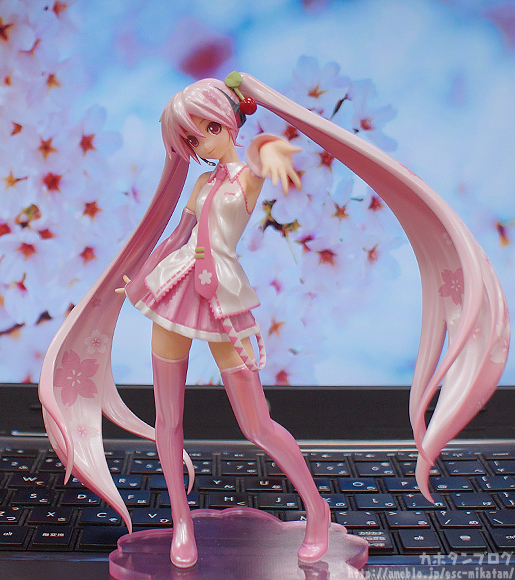 Vocaloid - Hatsune Miku - Figure Japan - 1/10 - Sakura ver. (Good Smile Company, Hobby Japan) photo 17