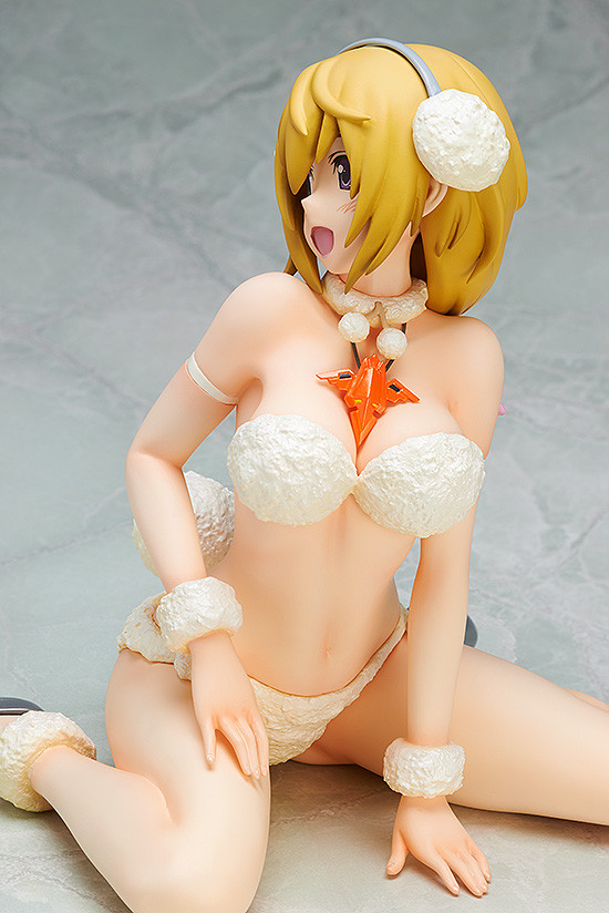 IS: Infinite Stratos - Charlotte Dunois - B-style - 1/4 - Poodle ver. (FREEing) photo 6