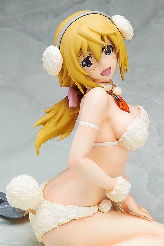 IS: Infinite Stratos - Charlotte Dunois - B-style - 1/4 - Poodle ver. (FREEing) photo 9
