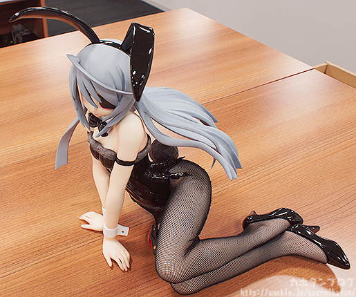 IS: Infinite Stratos 2 - Laura Bodewig - B-style - 1/4 - Bunny ver. (FREEing) photo 11