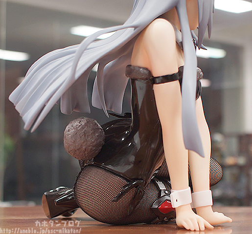 IS: Infinite Stratos 2 - Laura Bodewig - B-style - 1/4 - Bunny ver. (FREEing) photo 12