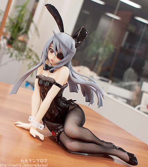 IS: Infinite Stratos 2 - Laura Bodewig - B-style - 1/4 - Bunny ver. (FREEing) photo 13