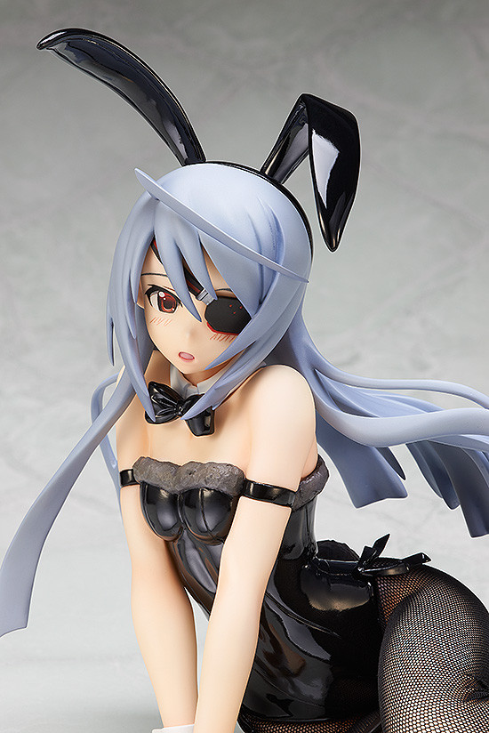 IS: Infinite Stratos 2 - Laura Bodewig - B-style - 1/4 - Bunny ver. (FREEing) photo 14