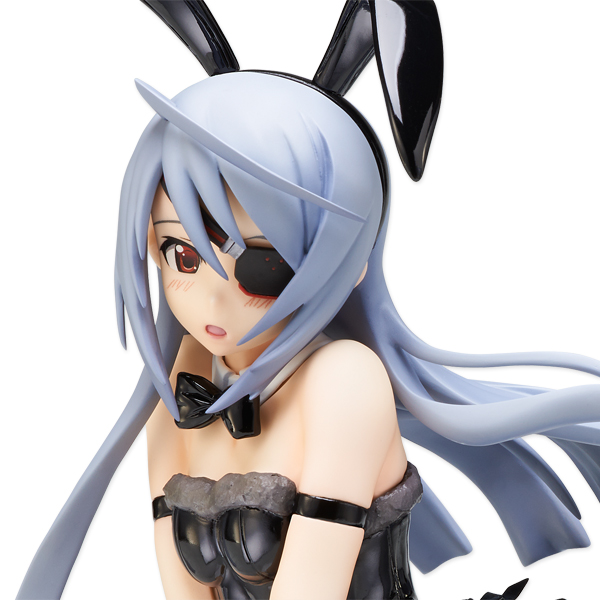IS: Infinite Stratos 2 - Laura Bodewig - B-style - 1/4 - Bunny ver. (FREEing) photo 15
