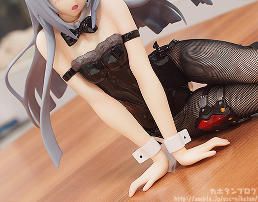 IS: Infinite Stratos 2 - Laura Bodewig - B-style - 1/4 - Bunny ver. (FREEing) photo 16