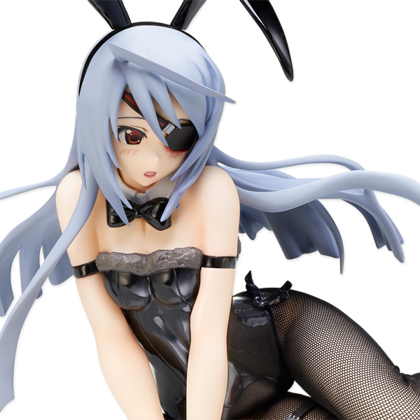 IS: Infinite Stratos 2 - Laura Bodewig - B-style - 1/4 - Bunny ver. (FREEing) photo 17