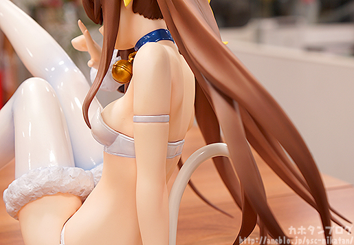 IS: Infinite Stratos 2 - Huang Lingyin - B-style - 1/4 - Cat ver. (FREEing) photo 15