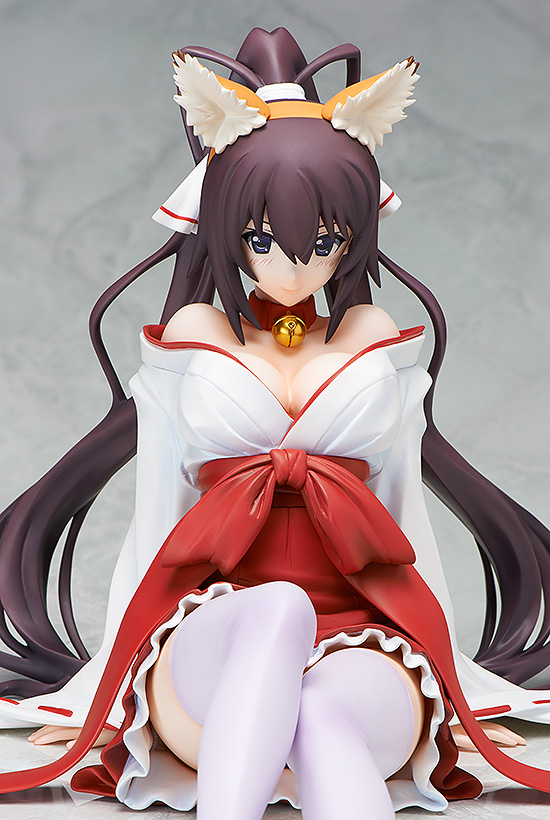 IS: Infinite Stratos - Shinonono Houki - B-style - 1/4 - Kitsune Miko ver. (FREEing) photo 3