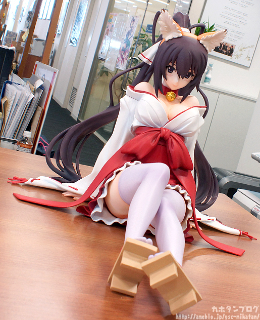 IS: Infinite Stratos - Shinonono Houki - B-style - 1/4 - Kitsune Miko ver. (FREEing) photo 6