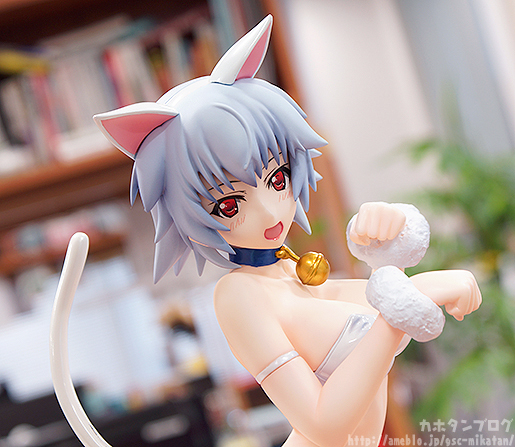 IS: Infinite Stratos - Sarashiki Tatenashi - B-style - 1/4 - Neko ver. (FREEing) photo 2