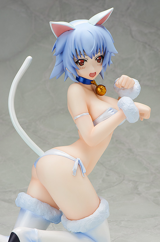 IS: Infinite Stratos - Sarashiki Tatenashi - B-style - 1/4 - Neko ver. (FREEing) photo 3