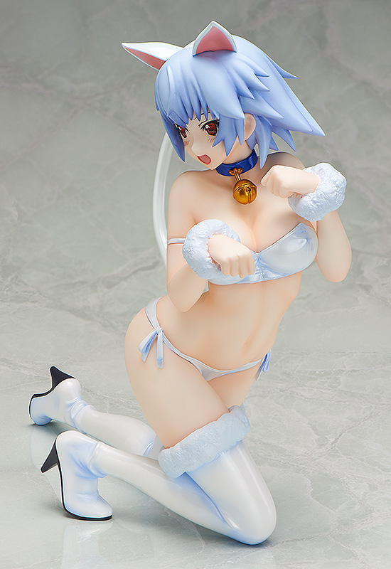 IS: Infinite Stratos - Sarashiki Tatenashi - B-style - 1/4 - Neko ver. (FREEing) photo 4