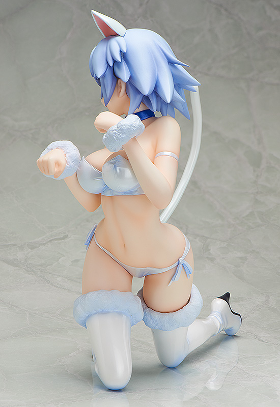 IS: Infinite Stratos - Sarashiki Tatenashi - B-style - 1/4 - Neko ver. (FREEing) photo 10