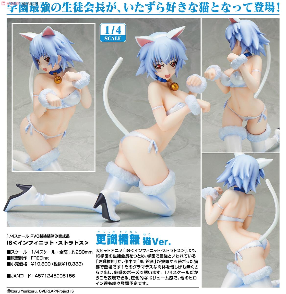 IS: Infinite Stratos - Sarashiki Tatenashi - B-style - 1/4 - Neko ver. (FREEing) photo 12