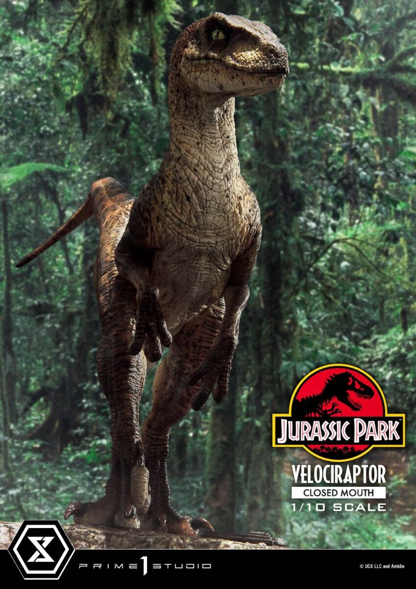 Jurassic Park - Velociraptor - Prime Collectible Figures (PCFJP-08) - 1/10 - Closed Mouth (Prime 1 Studio) photo 11