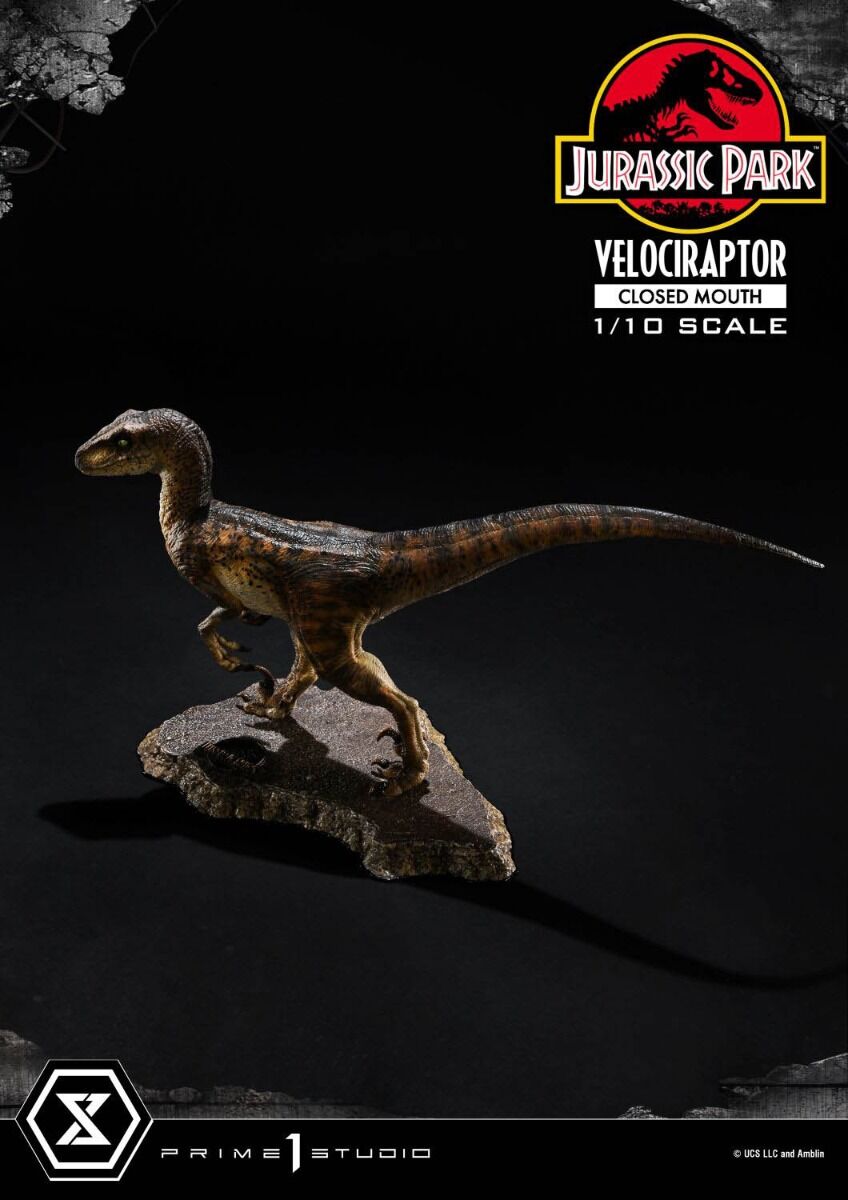 Jurassic Park - Velociraptor - Prime Collectible Figures (PCFJP-08) - 1/10 - Closed Mouth (Prime 1 Studio) photo 13