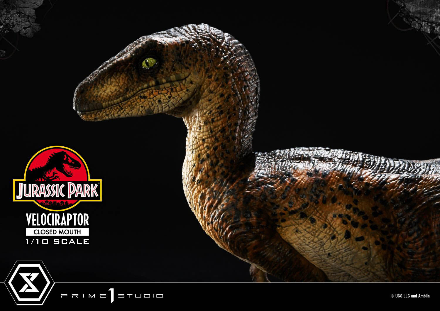 Jurassic Park - Velociraptor - Prime Collectible Figures (PCFJP-08) - 1/10 - Closed Mouth (Prime 1 Studio) photo 17