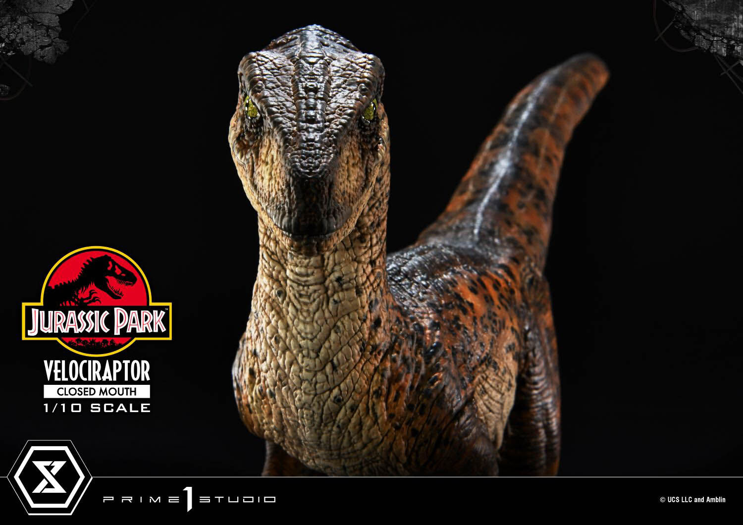 Jurassic Park - Velociraptor - Prime Collectible Figures (PCFJP-08) - 1/10 - Closed Mouth (Prime 1 Studio) photo 18