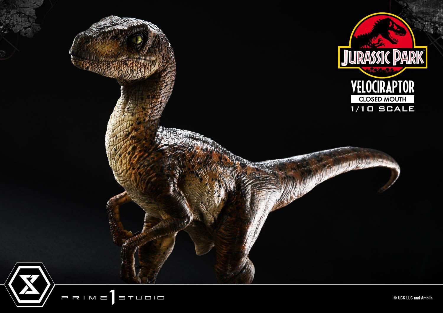 Jurassic Park - Velociraptor - Prime Collectible Figures (PCFJP-08) - 1/10 - Closed Mouth (Prime 1 Studio) photo 21