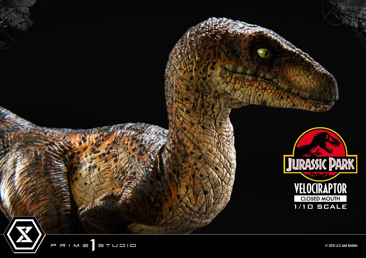 Jurassic Park - Velociraptor - Prime Collectible Figures (PCFJP-08) - 1/10 - Closed Mouth (Prime 1 Studio) photo 39