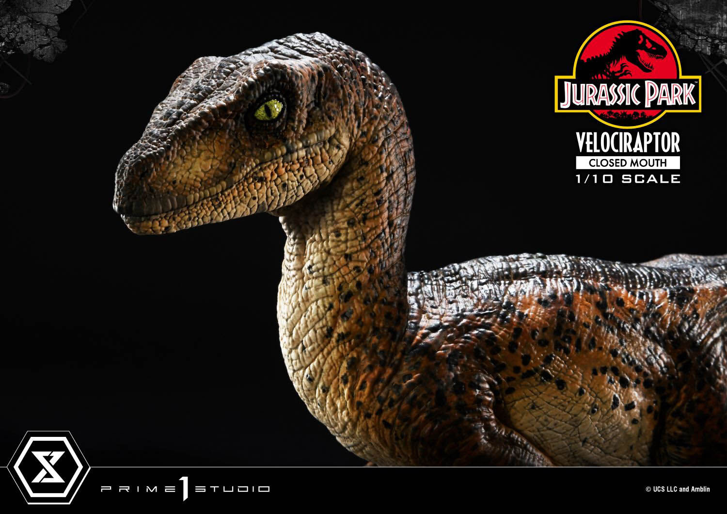 Jurassic Park - Velociraptor - Prime Collectible Figures (PCFJP-08) - 1/10 - Closed Mouth (Prime 1 Studio) photo 40