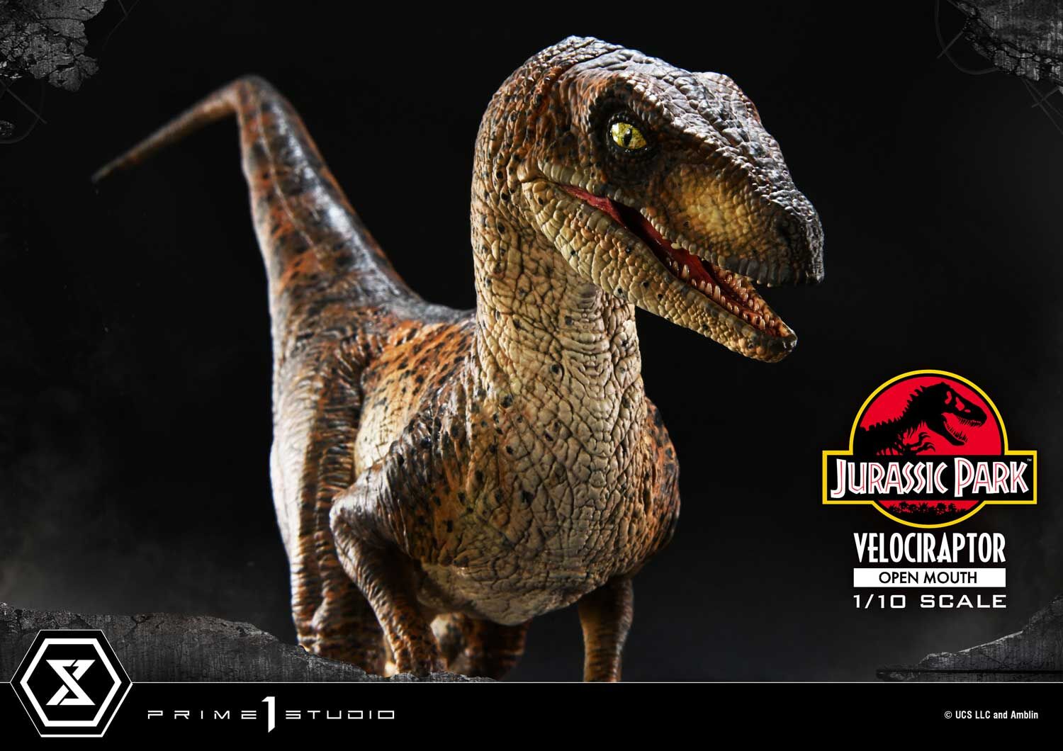 Jurassic Park - Velociraptor - Prime Collectible Figures  (PCFJP-07) - 1/10 - Open Mouth (Prime 1 Studio) photo 6