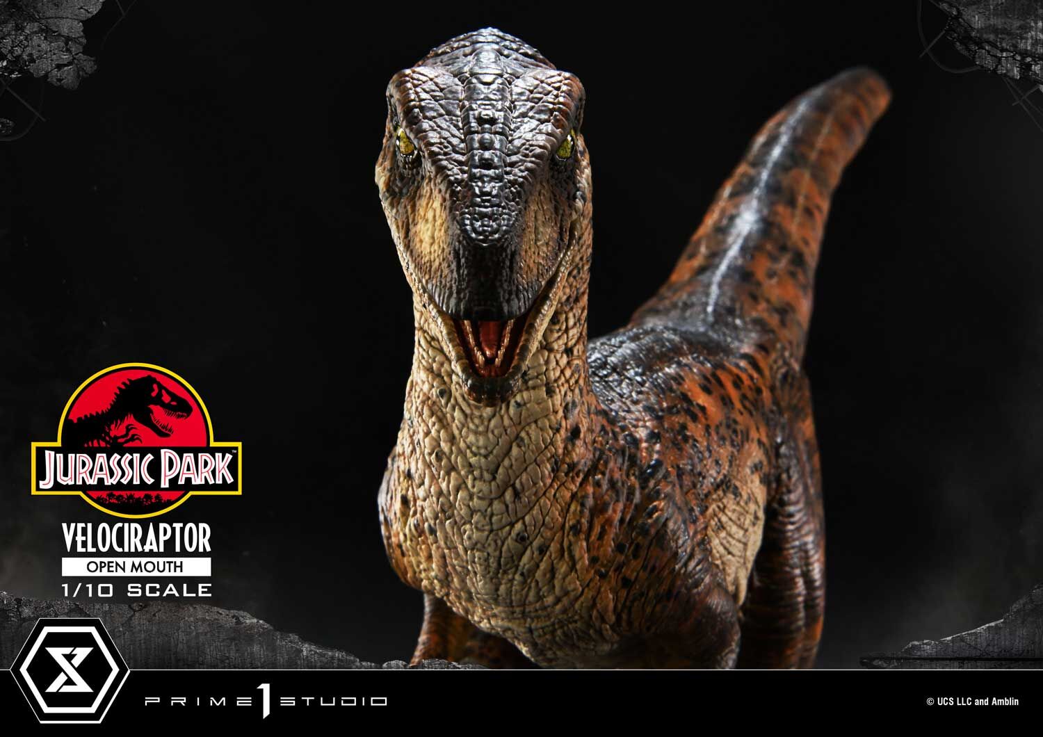 Jurassic Park - Velociraptor - Prime Collectible Figures  (PCFJP-07) - 1/10 - Open Mouth (Prime 1 Studio) photo 7
