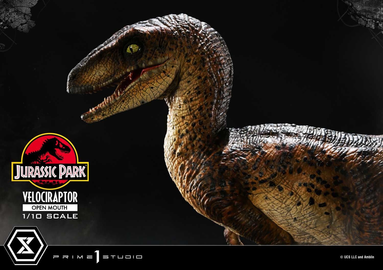 Jurassic Park - Velociraptor - Prime Collectible Figures  (PCFJP-07) - 1/10 - Open Mouth (Prime 1 Studio) photo 8