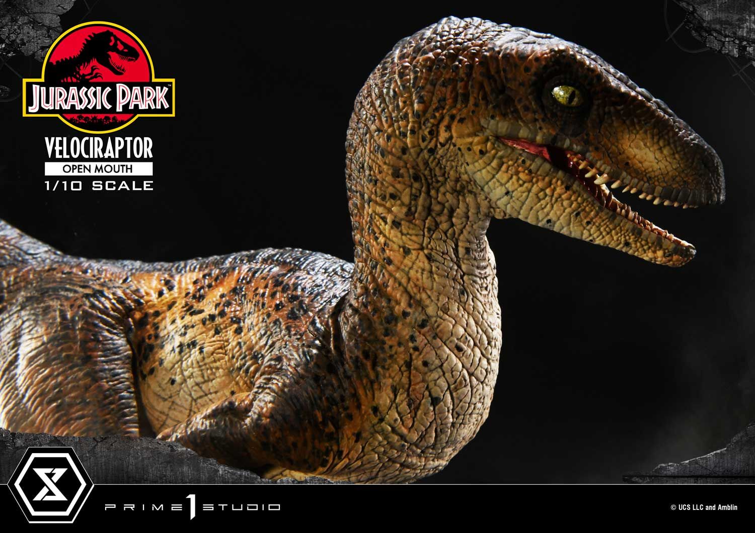 Jurassic Park - Velociraptor - Prime Collectible Figures  (PCFJP-07) - 1/10 - Open Mouth (Prime 1 Studio) photo 15