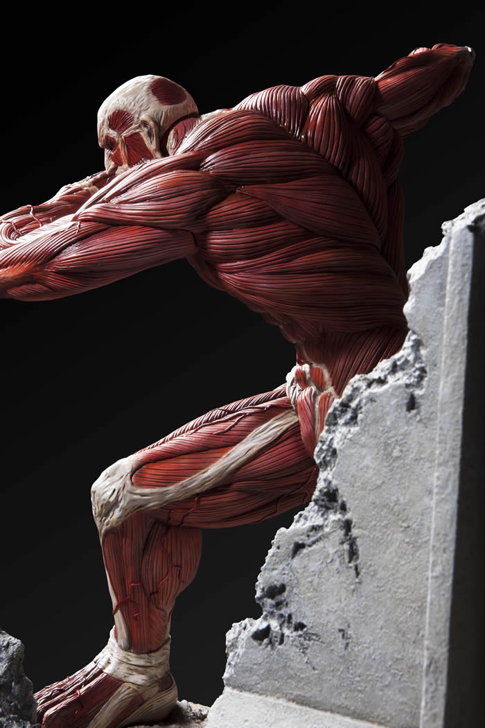 Shingeki no Kyojin - Chou-ougata Kyojin - Ultimate Modeling Collection Figure (Plex) photo 14