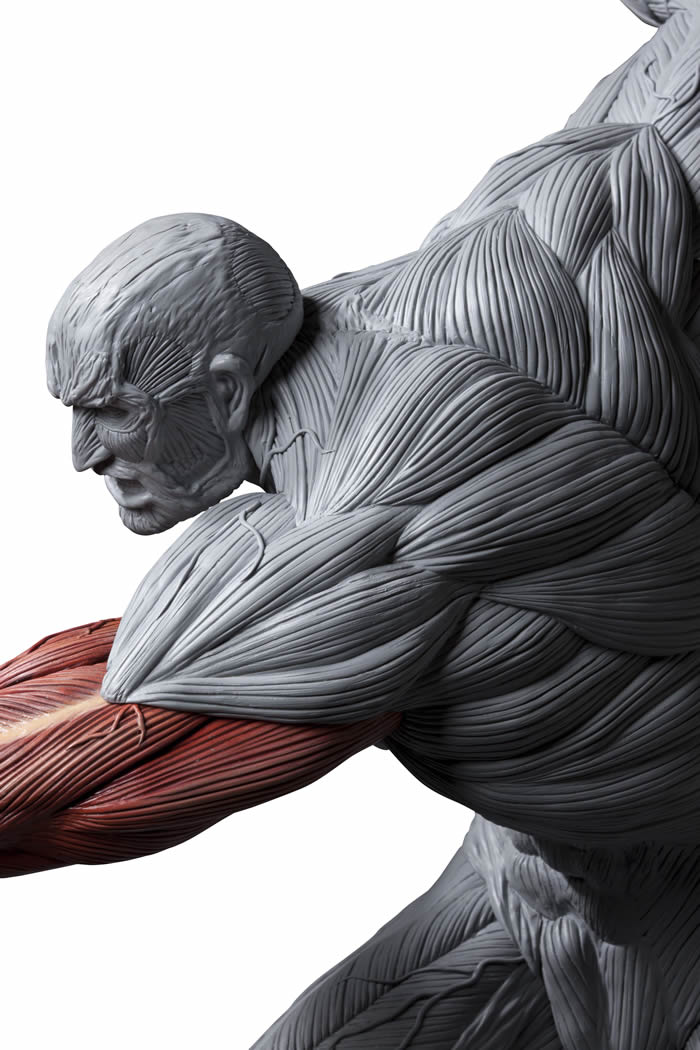 Shingeki no Kyojin - Chou-ougata Kyojin - Ultimate Modeling Collection Figure (Plex) photo 19