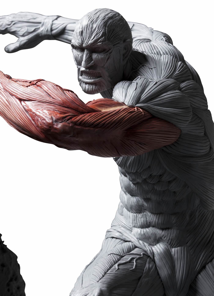 Shingeki no Kyojin - Chou-ougata Kyojin - Ultimate Modeling Collection Figure (Plex) photo 21